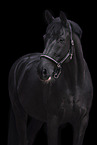 Hanoverian