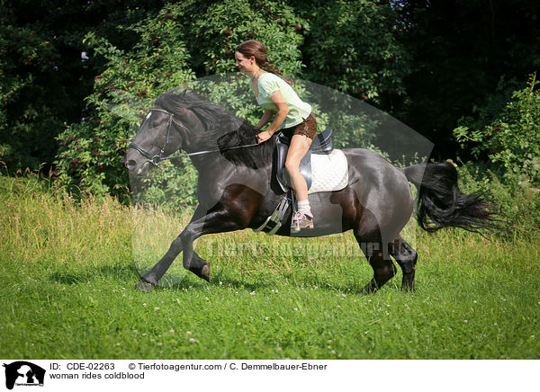 Frau reitet Kaltblut / woman rides coldblood / CDE-02263