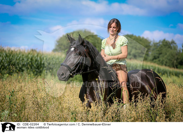 Frau reitet Kaltblut / woman rides coldblood / CDE-02264