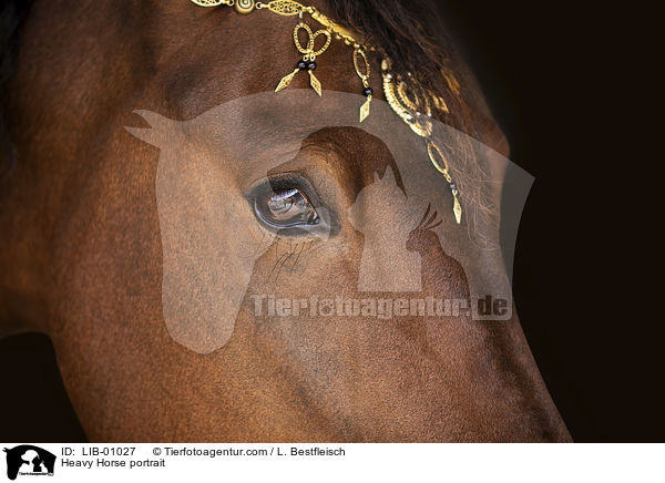 Kaltblut Portrait / Heavy Horse portrait / LIB-01027