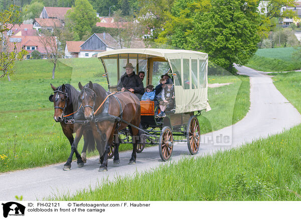 coldbloods in front of the carriage / FH-02121