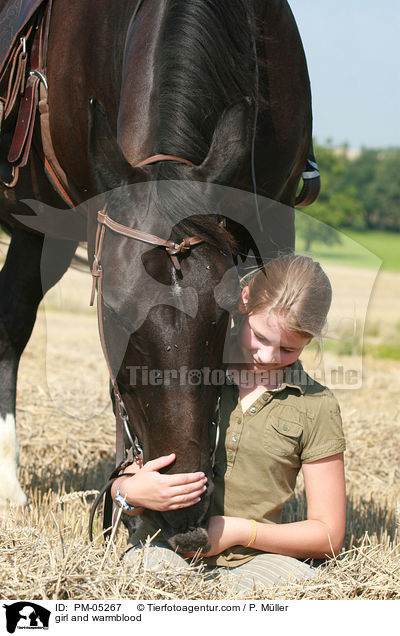 girl and warmblood / PM-05267