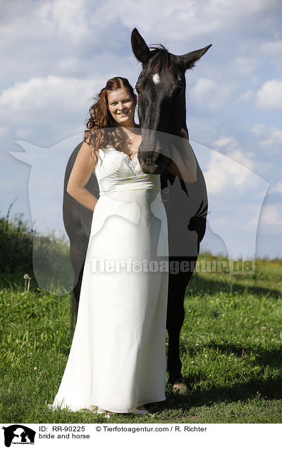 Braut und Pferd / bride and horse / RR-90225