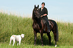 woman rides warmblood