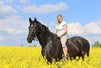 woman rides Heavy Warmblood