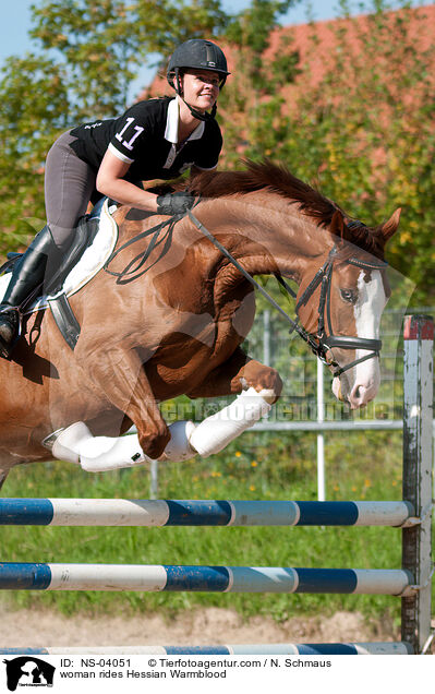 Frau reitet Hessisches Warmblut / woman rides Hessian Warmblood / NS-04051