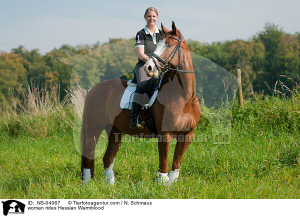 Frau reitet Hessisches Warmblut / woman rides Hessian Warmblood / NS-04067