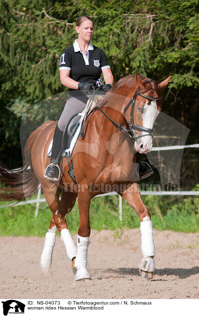 Frau reitet Hessisches Warmblut / woman rides Hessian Warmblood / NS-04073