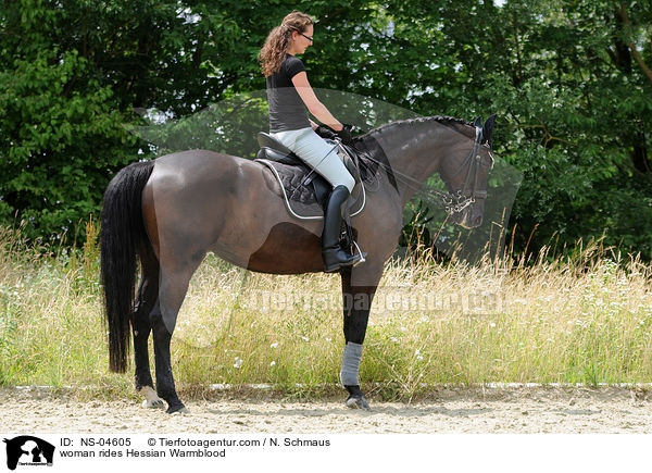 Frau reitet Hessisches Warmblut / woman rides Hessian Warmblood / NS-04605