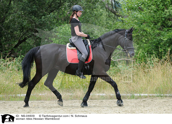 Frau reitet Hessisches Warmblut / woman rides Hessian Warmblood / NS-04609