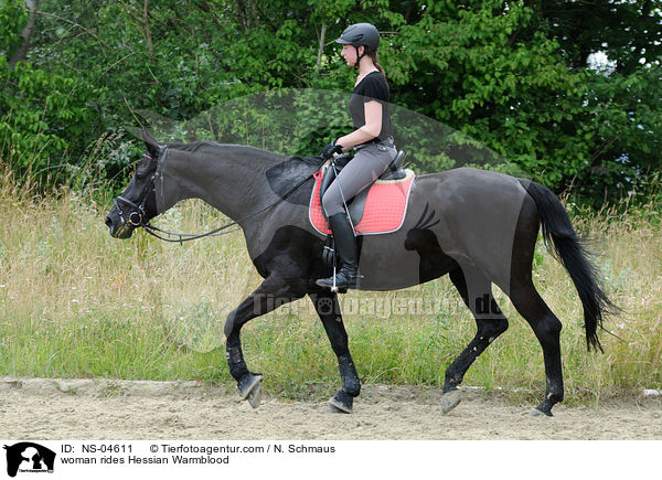 Frau reitet Hessisches Warmblut / woman rides Hessian Warmblood / NS-04611
