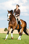 woman rides Hessian warmblood