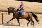 woman rides Hessian warmblood