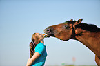 woman feeds Hessian Warmblood