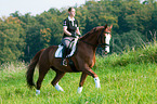 woman rides Hessian Warmblood