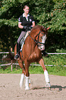 woman rides Hessian Warmblood