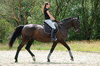 woman rides Hessian Warmblood