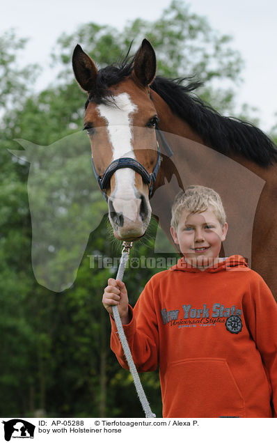 Junge mit Holsteiner / boy woth Holsteiner horse / AP-05288