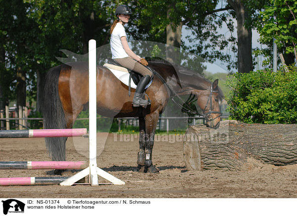Holsteiner unter dem Reiter / woman rides Holsteiner horse / NS-01374