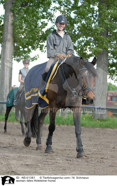 Holsteiner unter dem Reiter / woman rides Holsteiner horse / NS-01381