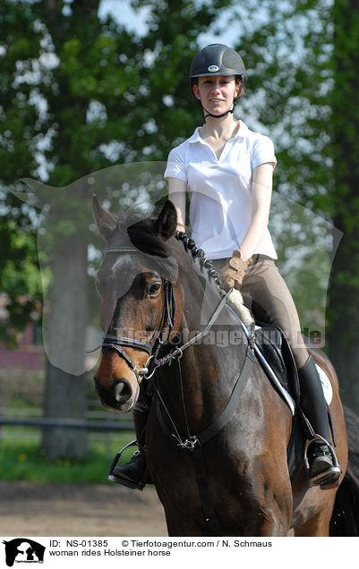 Holsteiner unter dem Reiter / woman rides Holsteiner horse / NS-01385