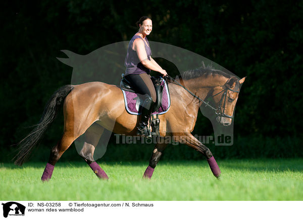 woman rides warmblood / NS-03258