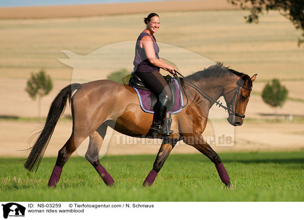 woman rides warmblood / NS-03259