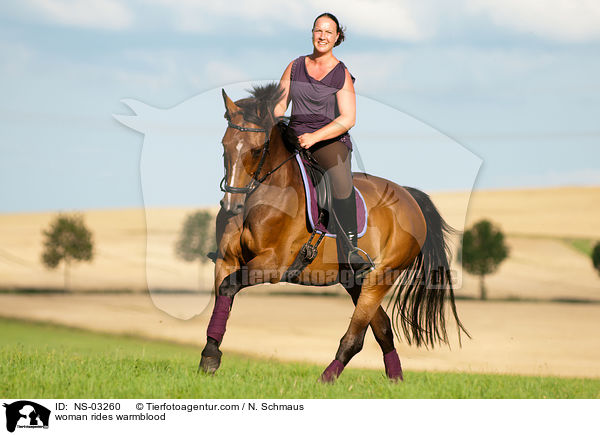 Frau reitet Holsteiner / woman rides warmblood / NS-03260