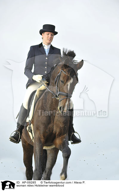 Frau reitet Holsteiner / woman rides Holsteiner warmblood / AP-09285