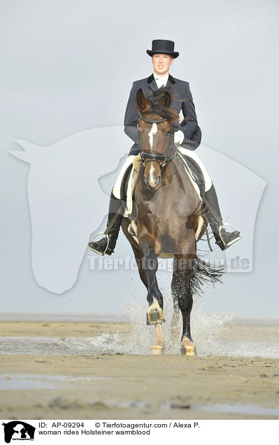 woman rides Holsteiner warmblood / AP-09294