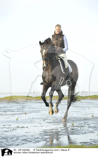 Frau reitet Holsteiner / woman rides Holsteiner warmblood / AP-09298
