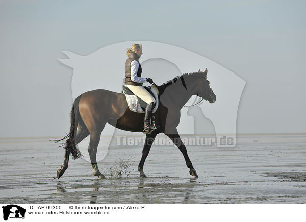 Frau reitet Holsteiner / woman rides Holsteiner warmblood / AP-09300