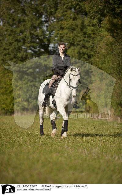 Frau reitet Holsteiner / woman rides warmblood / AP-11367