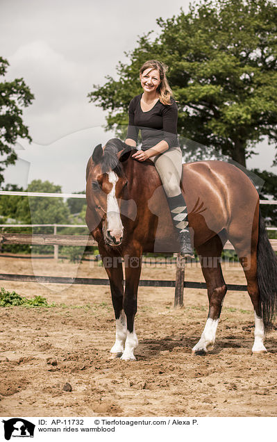 Frau reitet Holsteiner / woman rides warmblood / AP-11732