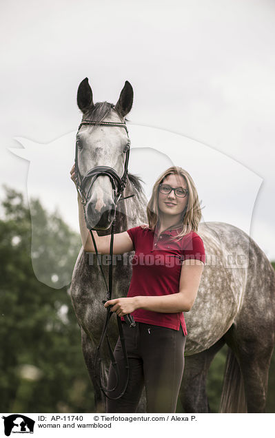 Frau und Holsteiner / woman and warmblood / AP-11740