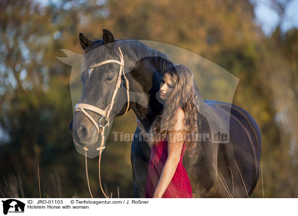Holstein Horse with woman / JRO-01103