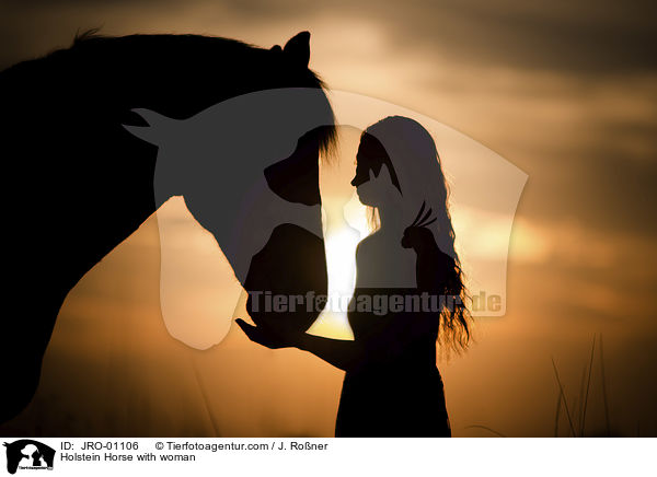 Holstein Horse with woman / JRO-01106