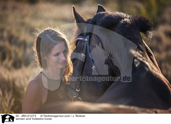 woman and holsteins horse / JRO-01273