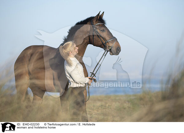 Frau und Holsteiner / woman and holsteins horse / EHO-02230