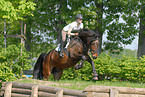 jumping Holsteiner horse