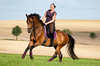 woman rides warmblood