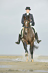 woman rides Holsteiner warmblood