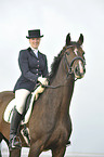 woman rides Holsteiner warmblood