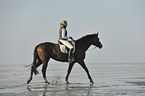 woman rides Holsteiner warmblood