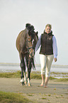 woman with Holsteiner warmblood