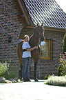 warmblood