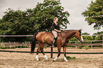 woman rides warmblood