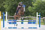 young woman rides Holstein Horse