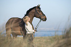 woman and holsteins horse