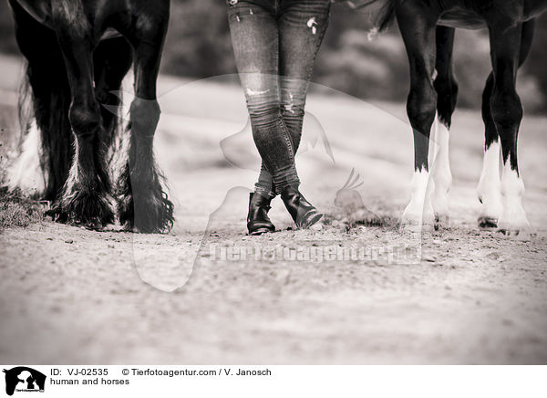 Mensch und Pferde / human and horses / VJ-02535